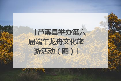 芦溪县举办第六届端午龙舟文化旅游活动（图）