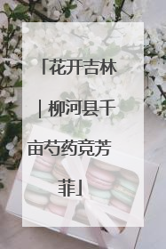 花开吉林｜柳河县千亩芍药竞芳菲