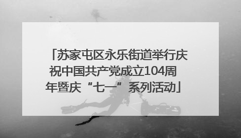 苏家屯区永乐街道举行庆祝中国共产党成立104周年暨庆“七一”系列活动