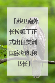 苏里南外长拉姆丁正式出任美洲国家组织秘书长