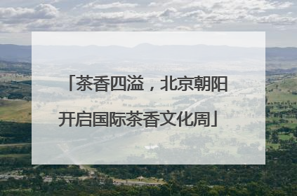 茶香四溢，北京朝阳开启国际茶香文化周