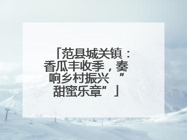 范县城关镇：香瓜丰收季，奏响乡村振兴 “甜蜜乐章”