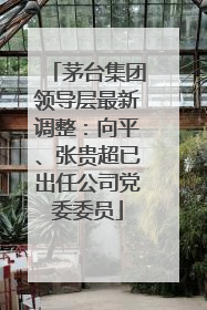 茅台集团领导层最新调整：向平、张贵超已出任公司党委委员