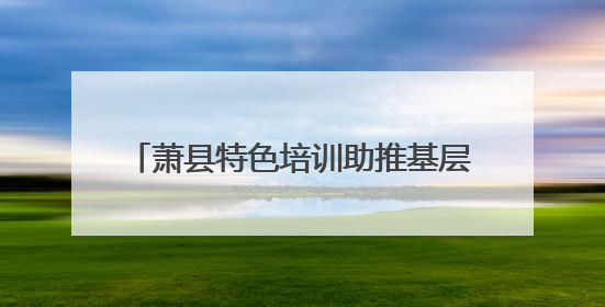 萧县特色培训助推基层中医药服务能力提升