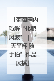 葡萄园内巧解“化肥风波”｜“天平杯·随手拍”作品展播