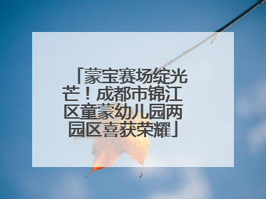 蒙宝赛场绽光芒！成都市锦江区童蒙幼儿园两园区喜获荣耀