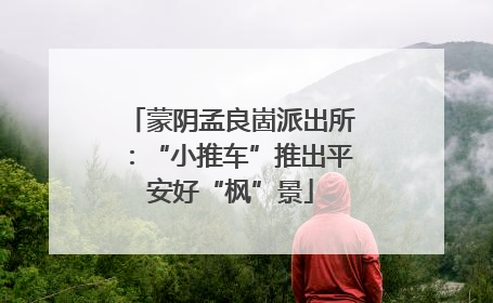 蒙阴孟良崮派出所：“小推车”推出平安好“枫”景