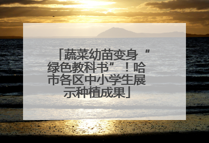 蔬菜幼苗变身“绿色教科书”！哈市各区中小学生展示种植成果