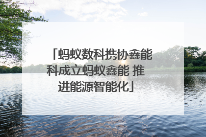 蚂蚁数科携协鑫能科成立蚂蚁鑫能 推进能源智能化
