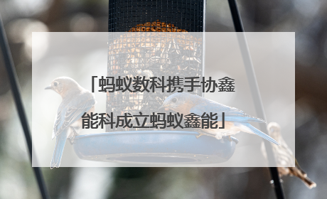 蚂蚁数科携手协鑫能科成立蚂蚁鑫能