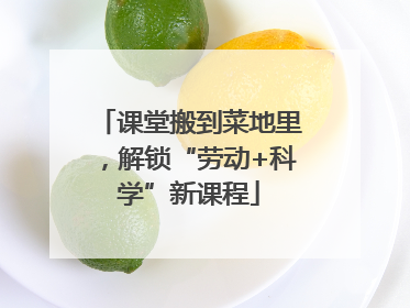 课堂搬到菜地里，解锁“劳动+科学”新课程