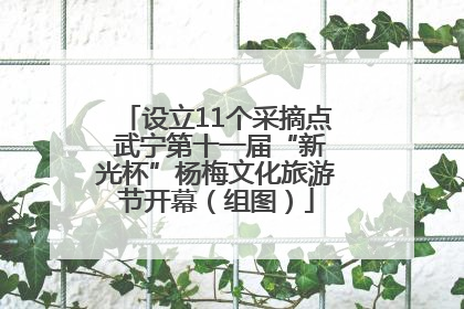 设立11个采摘点 武宁第十一届“新光杯”杨梅文化旅游节开幕（组图）