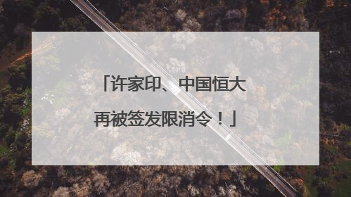 许家印、中国恒大再被签发限消令！