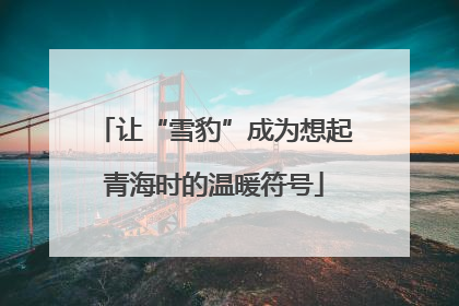 让“雪豹”成为想起青海时的温暖符号