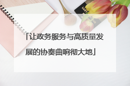 让政务服务与高质量发展的协奏曲响彻大地