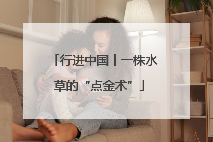 行进中国丨一株水草的“点金术”