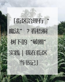 街区治理有“魔法”？看梧桐树下的“破圈”实践｜我在街区当书记