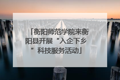 衡阳师范学院来衡阳县开展“入企下乡”科技服务活动