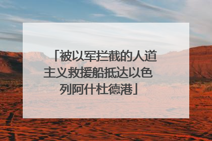 被以军拦截的人道主义救援船抵达以色列阿什杜德港