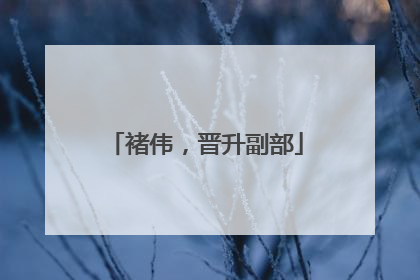 褚伟，晋升副部