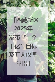 西咸新区2025年发布“三个千亿”目标及五大攻坚举措
