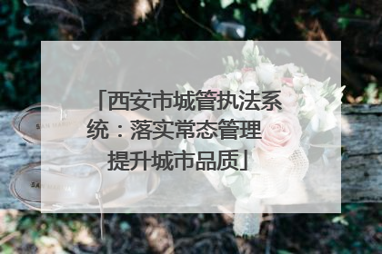 西安市城管执法系统：落实常态管理 提升城市品质