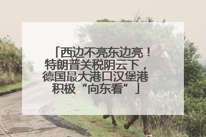 西边不亮东边亮！特朗普关税阴云下，德国最大港口汉堡港积极“向东看”
