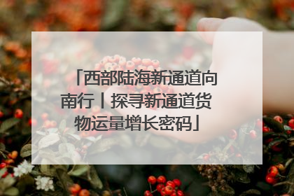 西部陆海新通道向南行丨探寻新通道货物运量增长密码