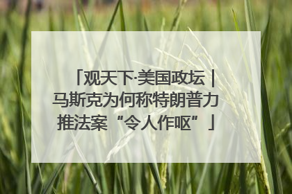 观天下·美国政坛｜马斯克为何称特朗普力推法案“令人作呕”