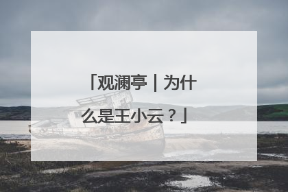 观澜亭｜为什么是王小云？