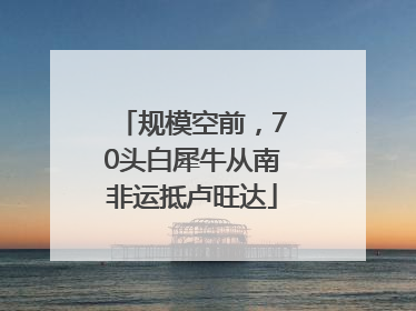 规模空前，70头白犀牛从南非运抵卢旺达