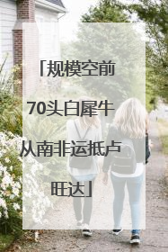 规模空前 70头白犀牛从南非运抵卢旺达
