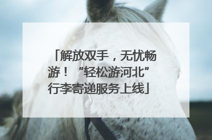 解放双手，无忧畅游！“轻松游河北”行李寄递服务上线