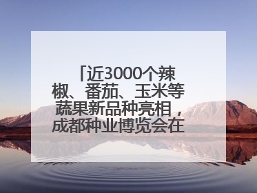 近3000个辣椒、番茄、玉米等蔬果新品种亮相，成都种业博览会在蓉开幕