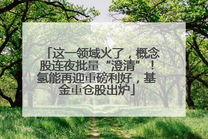 这一领域火了，概念股连夜批量“澄清”！氢能再迎重磅利好，基金重仓股出炉