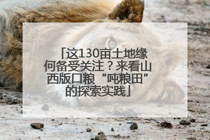 这130亩土地缘何备受关注？来看山西版口粮“吨粮田”的探索实践