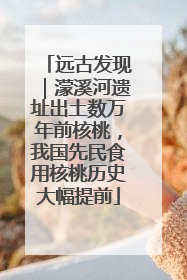 远古发现｜濛溪河遗址出土数万年前核桃，我国先民食用核桃历史大幅提前