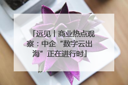 远见丨商业热点观察：中企“数字云出海”正在进行时