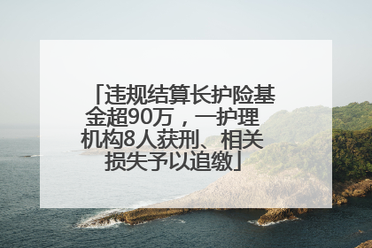 违规结算长护险基金超90万，一护理机构8人获刑、相关损失予以追缴