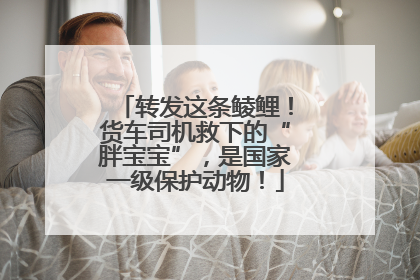 转发这条鲮鲤！货车司机救下的“胖宝宝”，是国家一级保护动物！