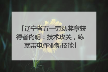 辽宁省五一劳动奖章获得者佟明：技术攻关，练就带电作业新技能