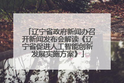 辽宁省政府新闻办召开新闻发布会解读《辽宁省促进人工智能创新发展实施方案》