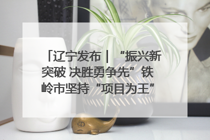 辽宁发布｜“振兴新突破 决胜勇争先”铁岭市坚持“项目为王”推进经济高质量发展