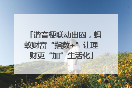 谐音梗联动出圈，蚂蚁财富“指数+”让理财更“加”生活化