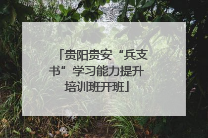 贵阳贵安“兵支书”学习能力提升培训班开班