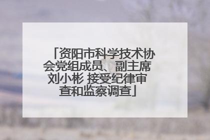 资阳市科学技术协会党组成员、副主席刘小彬 接受纪律审查和监察调查