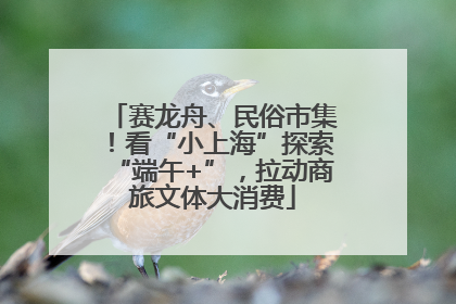 赛龙舟、民俗市集！看“小上海”探索“端午+”，拉动商旅文体大消费