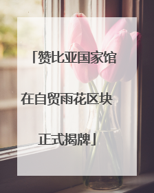 赞比亚国家馆在自贸雨花区块正式揭牌
