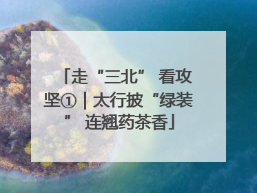走“三北” 看攻坚①｜太行披“绿装” 连翘药茶香