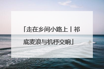走在乡间小路上丨祁底麦浪与机杼交响